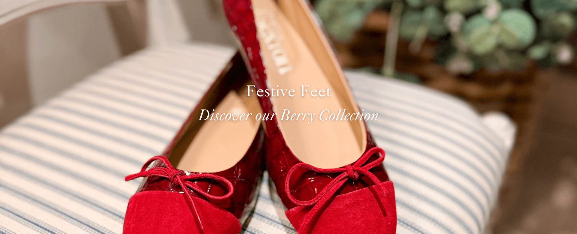 Nicola Sexton ballet pump